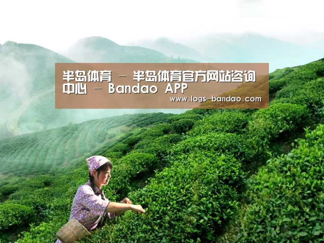 半岛体育 - 半岛体育官方网站咨询中心 - Bandao APP